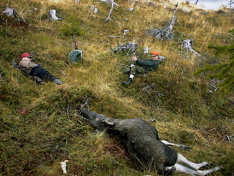 1999 ku ved Linerlemyra_2.jpg - Jonny og Birger slapper av etter utvommingsarbeid